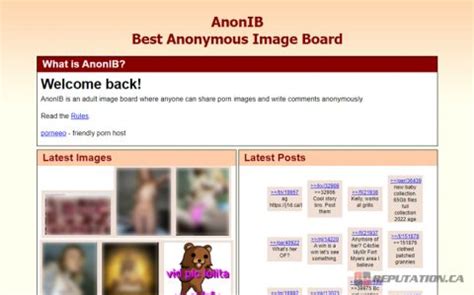 anon social nudes|AnonIB Archive